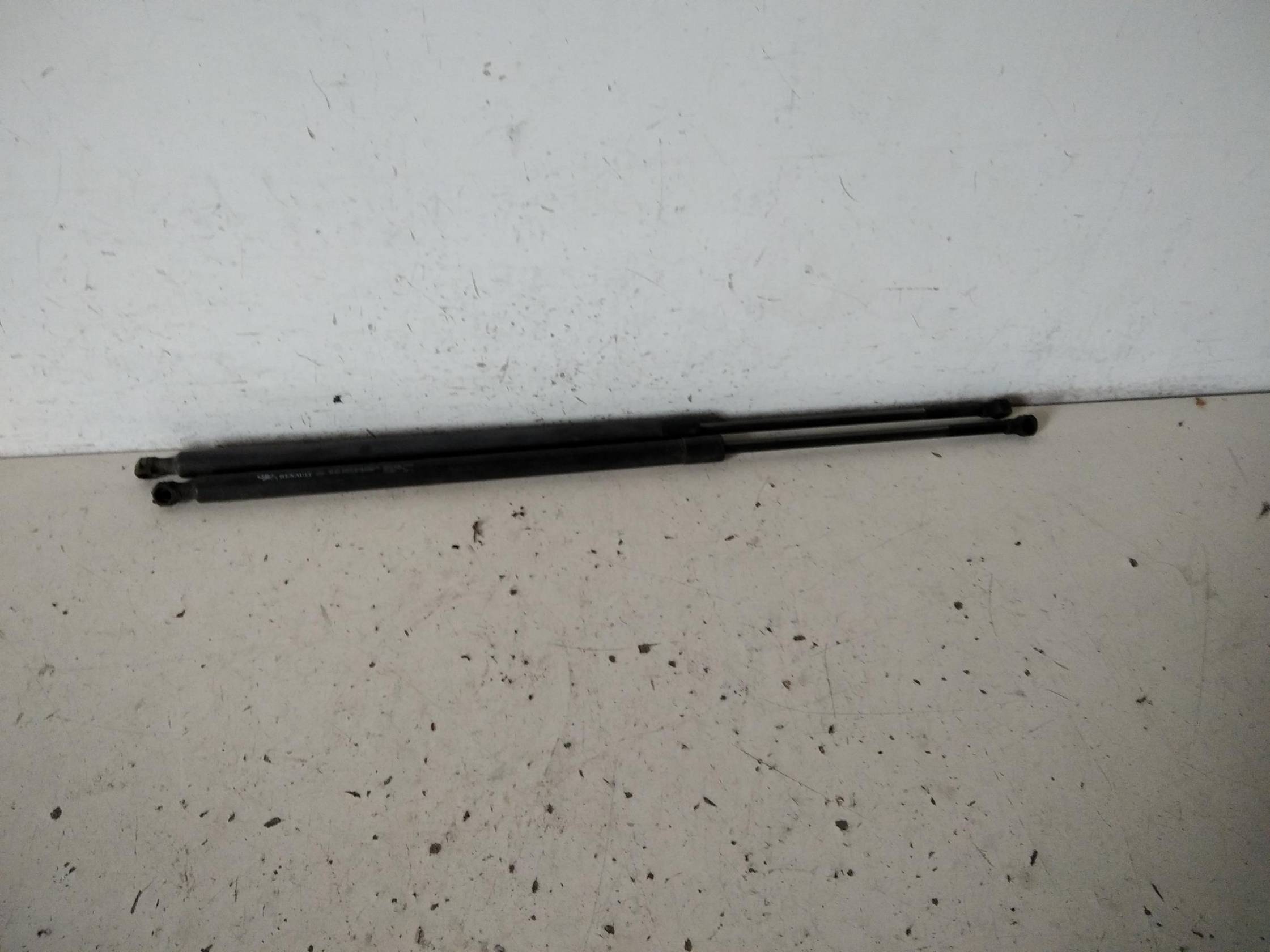 Asta ammortizzante portello post. sx.